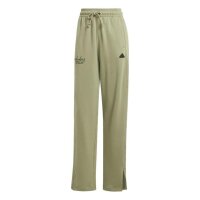 Adidas Jogginghose W BLUV Q3 FT PT tengreen